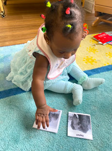 164 Seeds Of Literacy Have You Seen My Duckling (2) Web