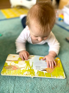 164 Seeds Of Literacy Have You Seen My Duckling (1) Web