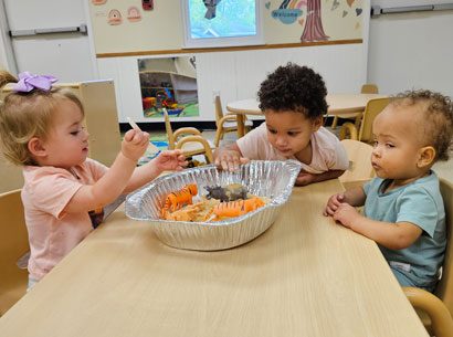 Best Daycare In Greenwood Sc