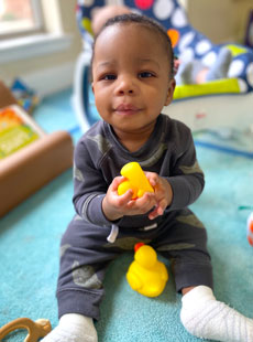 164 Seeds Of Literacy Have You Seen My Duckling (3) Web