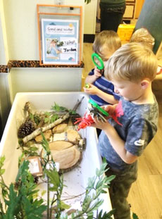 06 Tree Study Sensory Bin